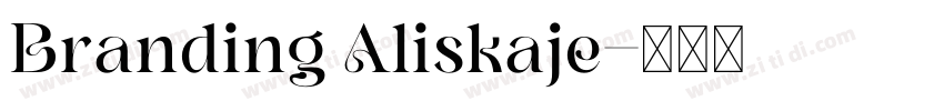 Branding Aliskaje字体转换